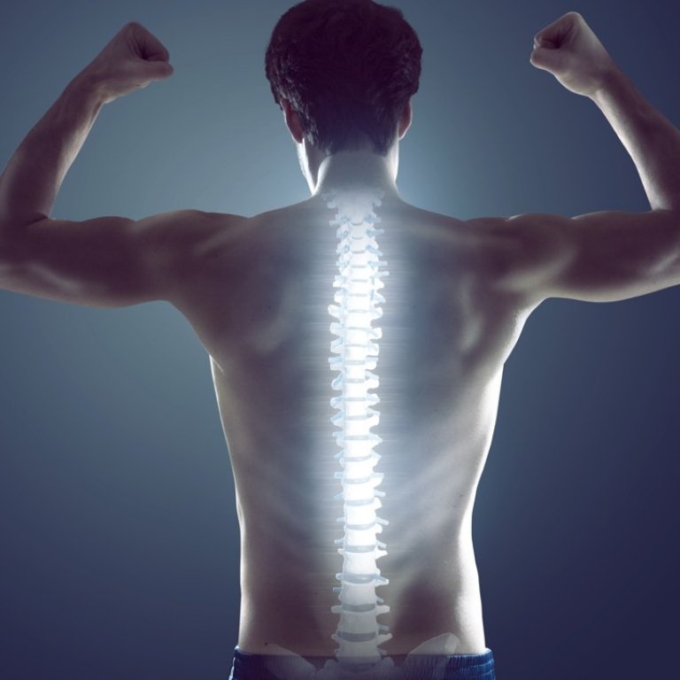 1healthy spine